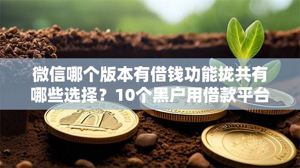 微信哪个版本有借钱功能拢共有哪些选择?10个黑户用借款平台可贷到款详解 微信哪个版本有借钱功能拢共有哪些选择?10个黑户用借款平台可贷到款详解