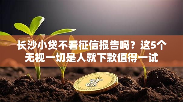 长沙小贷不看征信报告吗?这5个无视一切是人就下款值得一试 长沙小贷不看征信报告吗?这5个无视一切是人就下款值得一试