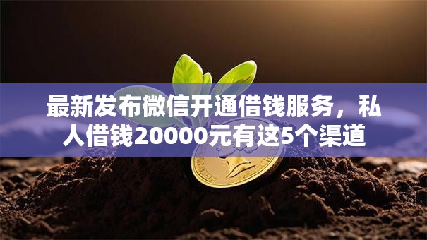 最新发布微信开通借钱服务,私人借钱20000元有这5个渠道 最新发布微信开通借钱服务,私人借钱20000元有这5个渠道