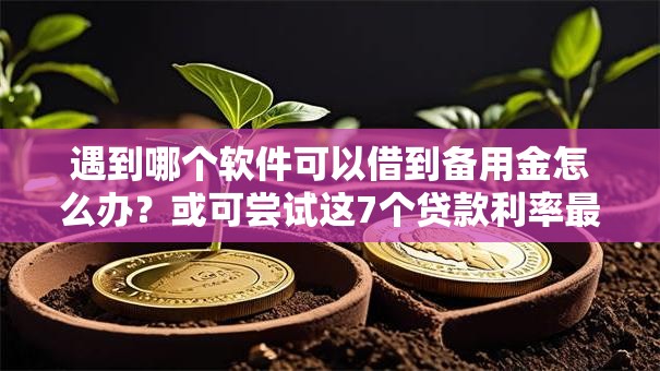 遇到哪个软件可以借到备用金怎么办？或可尝试这7个贷款利率最低的平台