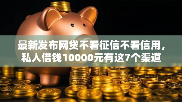 最新发布网贷不看征信不看信用，私人借钱10000元有这7个渠道