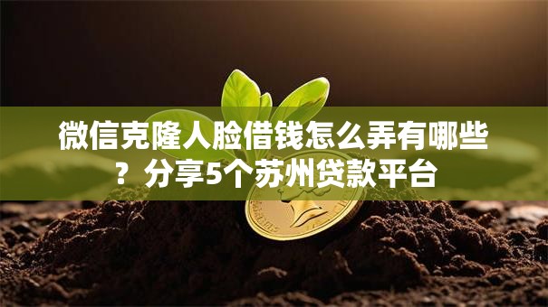 微信克隆人脸借钱怎么弄有哪些？分享5个苏州贷款平台