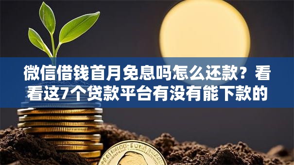 微信借钱首月免息吗怎么还款？看看这7个贷款平台有没有能下款的