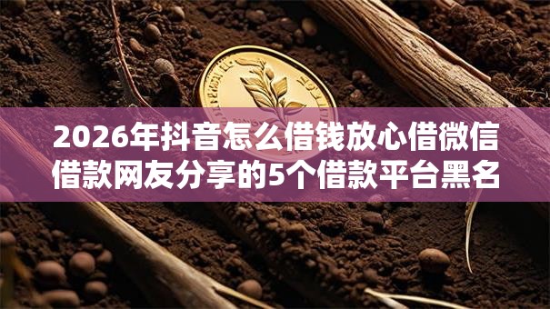 2026年抖音怎么借钱放心借微信借款网友分享的5个借款平台黑名单可以借钱我觉得不错！