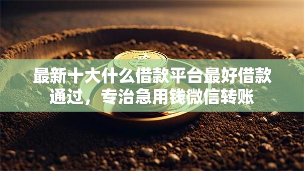最新十大什么借款平台最好借款通过，专治急用钱微信转账