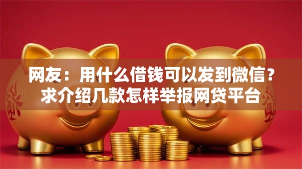 网友：用什么借钱可以发到微信？求介绍几款怎样举报网贷平台