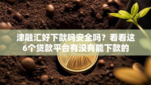 津融汇好下款吗安全吗？看看这6个贷款平台有没有能下款的