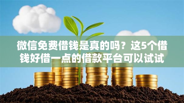 微信免费借钱是真的吗?这5个借钱好借一点的借款平台可以试试 微信免费借钱是真的吗?这5个借钱好借一点的借款平台可以试试