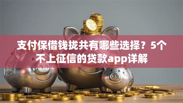 支付保借钱拢共有哪些选择？5个不上征信的贷款app详解