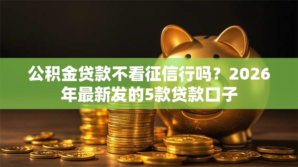 公积金贷款不看征信行吗？2026年最新发的5款贷款口子