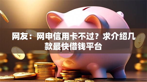 网友：网申信用卡不过？求介绍几款最快借钱平台
