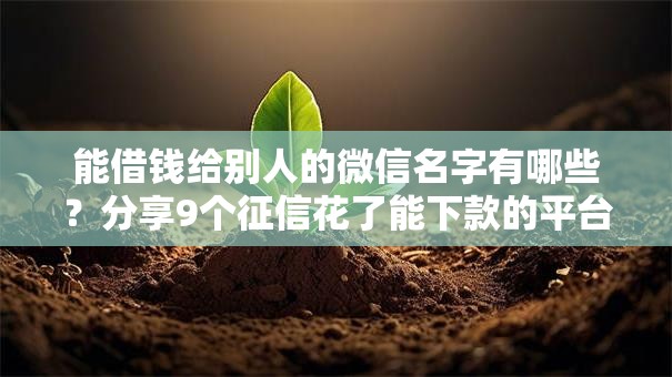 能借钱给别人的微信名字有哪些?分享9个征信花了能下款的平台 能借钱给别人的微信名字有哪些?分享9个征信花了能下款的平台