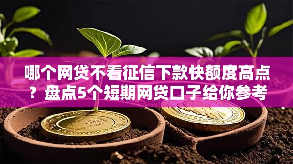 哪个网贷不看征信下款快额度高点？盘点5个短期网贷口子给你参考