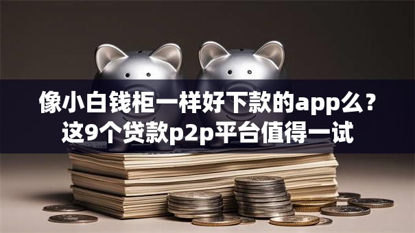 像小白钱柜一样好下款的app么？这9个贷款p2p平台值得一试