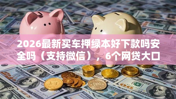 2026最新买车押绿本好下款吗安全吗（支持微信），6个网贷大口子轻松借平台无私分享