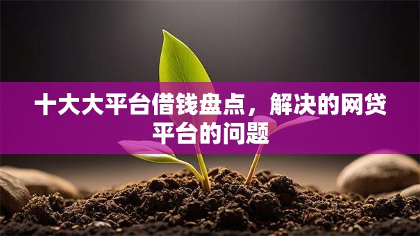 十大大平台借钱盘点，解决的网贷平台的问题