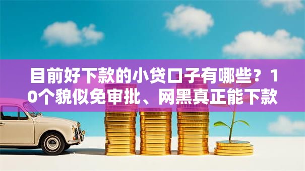 目前好下款的小贷口子有哪些？10个貌似免审批、网黑真正能下款的平台合集