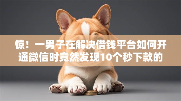 惊!一男子在解决借钱平台如何开通微信时竟然发现10个秒下款的贷款平台,事后分享了出来 惊!一男子在解决借钱平台如何开通微信时竟然发现10个秒下款的贷款平台,事后分享了出来