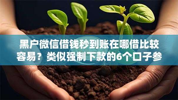 黑户微信借钱秒到账在哪借比较容易？类似强制下款的6个口子参考