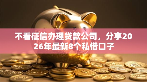 不看征信办理贷款公司，分享2026年最新8个私借口子