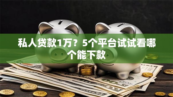 私人贷款1万？5个平台试试看哪个能下款