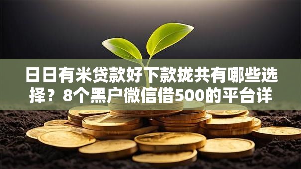 日日有米贷款好下款拢共有哪些选择？8个黑户微信借500的平台详解