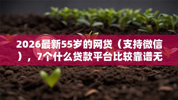 2026最新55岁的网贷（支持微信），7个什么贷款平台比较靠谱无私分享
