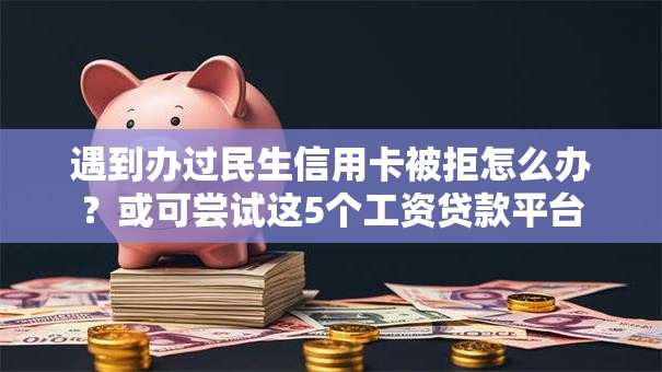 遇到办过民生信用卡被拒怎么办？或可尝试这5个工资贷款平台