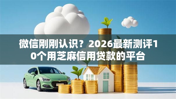 微信刚刚认识？2026最新测评10个用芝麻信用贷款的平台