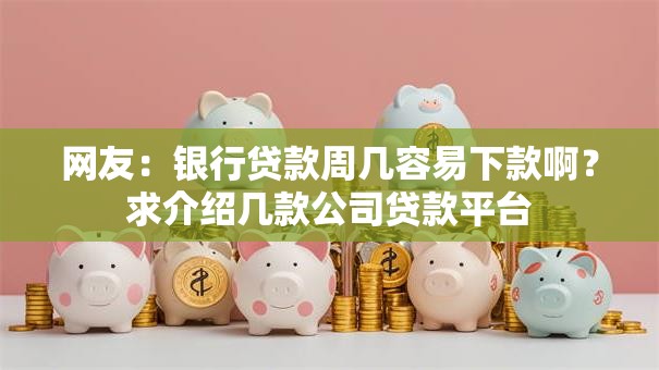 网友：银行贷款周几容易下款啊？求介绍几款公司贷款平台