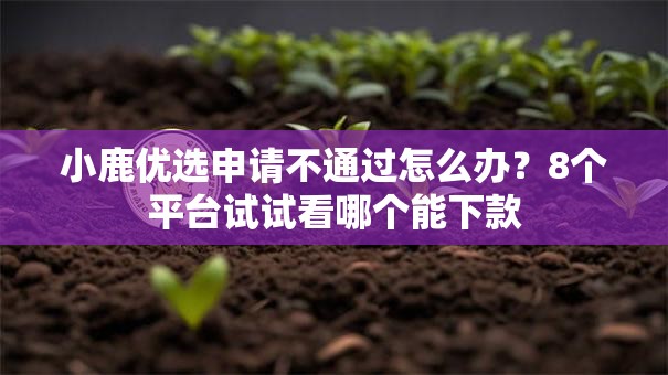 小鹿优选申请不通过怎么办?8个平台试试看哪个能下款 小鹿优选申请不通过怎么办?8个平台试试看哪个能下款