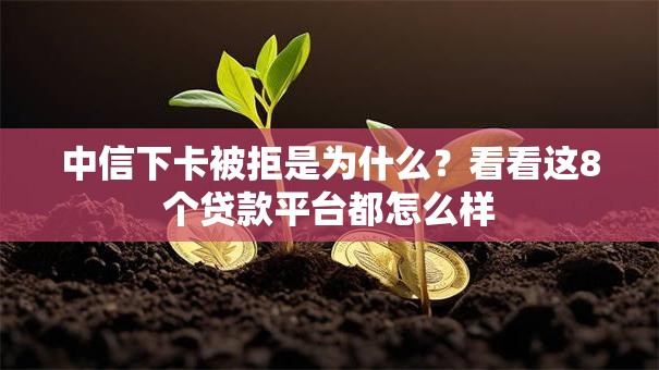 中信下卡被拒是为什么?看看这8个贷款平台都怎么样 中信下卡被拒是为什么?看看这8个贷款平台都怎么样