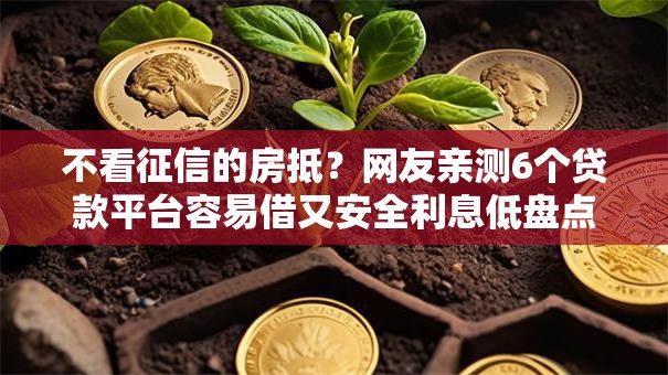 不看征信的房抵？网友亲测6个贷款平台容易借又安全利息低盘点