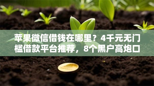 苹果微信借钱在哪里？4千元无门槛借款平台推荐，8个黑户高炮口子盘点