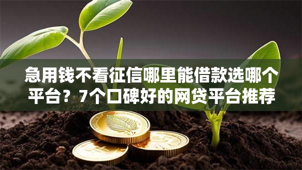 急用钱不看征信哪里能借款选哪个平台？7个口碑好的网贷平台推荐