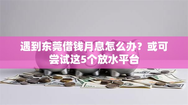 遇到东莞借钱月息怎么办？或可尝试这5个放水平台