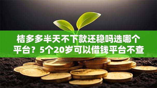 桔多多半天不下款还稳吗选哪个平台？5个20岁可以借钱平台不查征信的平台推荐