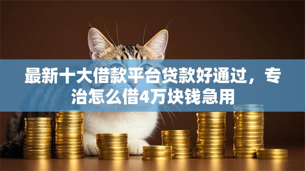 最新十大借款平台贷款好通过，专治怎么借4万块钱急用