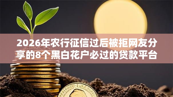2026年农行征信过后被拒网友分享的8个黑白花户必过的贷款平台我觉得不错！
