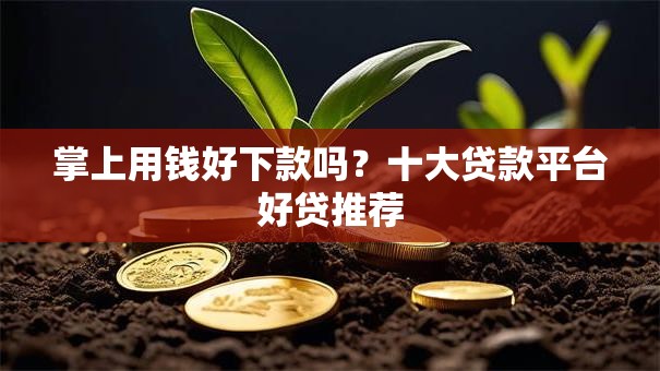 掌上用钱好下款吗？十大贷款平台好贷推荐