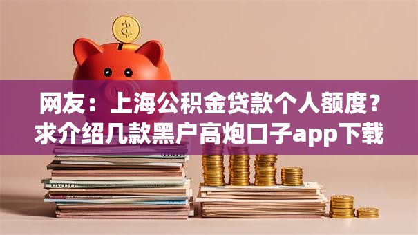 网友：上海公积金贷款个人额度？求介绍几款黑户高炮口子app下载