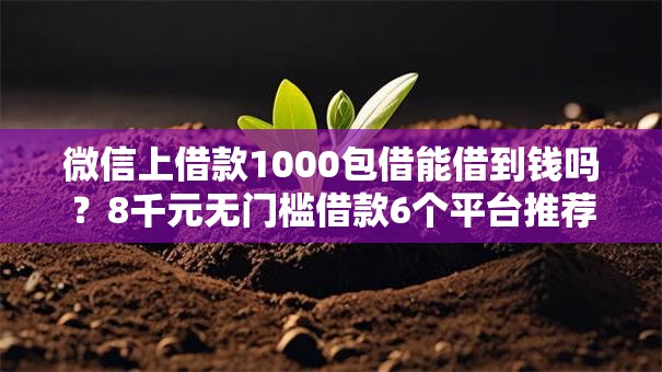 微信上借款1000包借能借到钱吗？8千元无门槛借款6个平台推荐