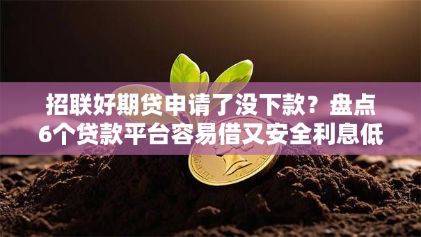 招联好期贷申请了没下款？盘点6个贷款平台容易借又安全利息低给你参考