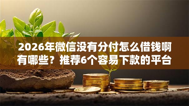2026年微信没有分付怎么借钱啊有哪些？推荐6个容易下款的平台