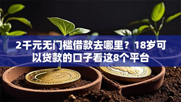 2千元无门槛借款去哪里？18岁可以贷款的口子看这8个平台