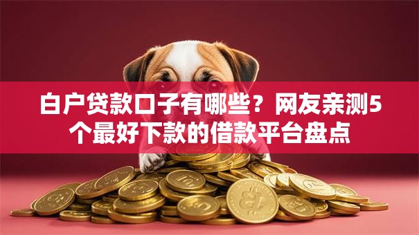 白户贷款口子有哪些？网友亲测5个最好下款的借款平台盘点