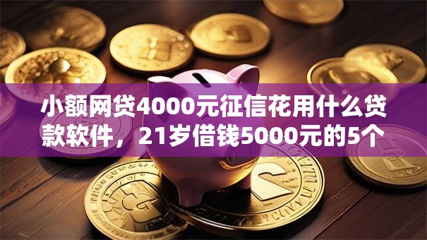 小额网贷4000元征信花用什么贷款软件，21岁借钱5000元的5个平台介绍