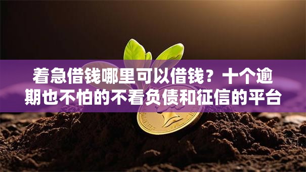 着急借钱哪里可以借钱？十个逾期也不怕的不看负债和征信的平台