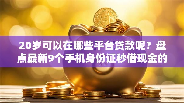 20岁可以在哪些平台贷款呢？盘点最新9个手机身份证秒借现金的口子