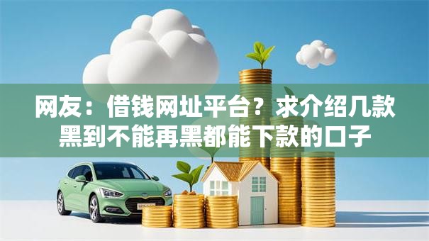 网友：借钱网址平台？求介绍几款黑到不能再黑都能下款的口子